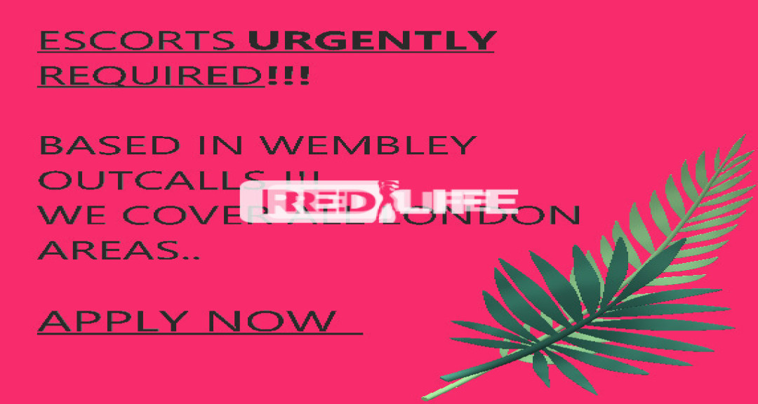 The No1 Escort Agency in