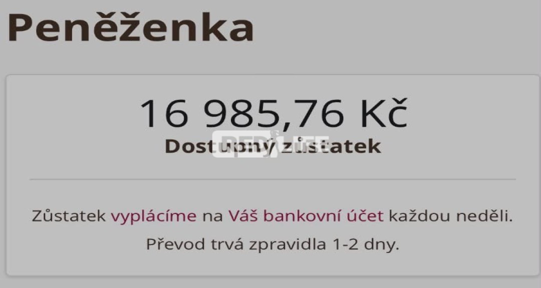 Spr&aacute;va OnlyFans profilu, spolupr&aacute;ce na