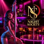 Thenightsociety