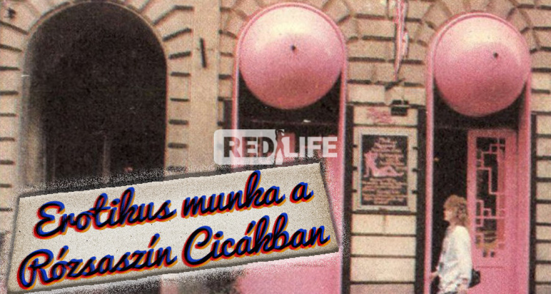 Rózsaszín Cicák, avagy így kezdődött